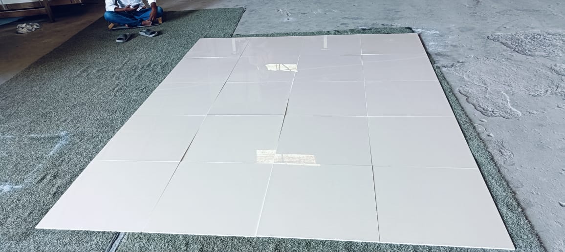 Tech Homogenea full body vitrified tiles