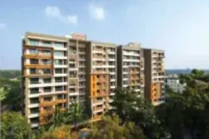 image-here