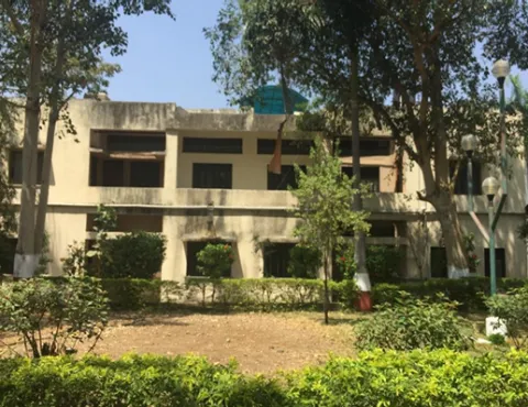 image-here